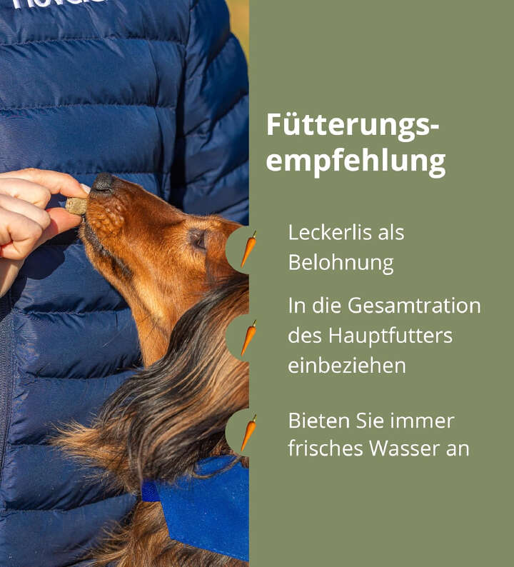 Höveler DOG Pur.SNAXX Wild + Käse